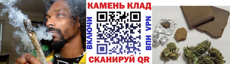 Купить где  Губкинский  Гашиш Cannabis 