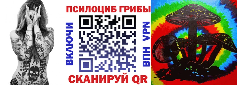 Псилоцибиновые грибы Cubensis  Купить  Губкинский 